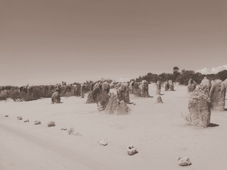 Lunar-like Pinnacles form tall limestones spires rise eerily out of the yellow desert sands of Nambung national partk